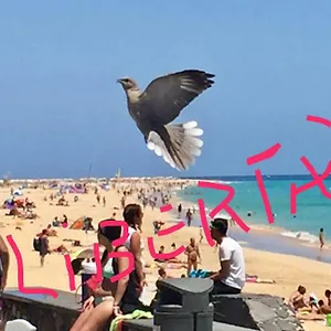 https://il-paradiso-esiste.hotelsfuerteventura.org